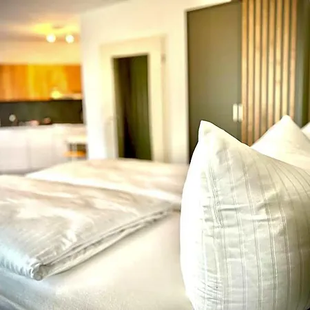 Appart-haus Business 4* 린겐